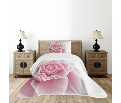 Rose Petals Beauty Bedspread Set