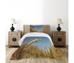 Purebred Labrador Bedspread Set