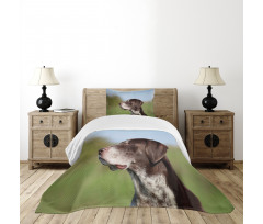 German Pointer Bedspread Set