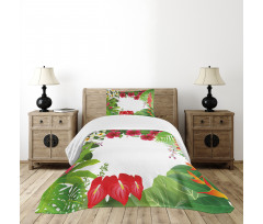 Plumeria Crepe Gingers Bedspread Set