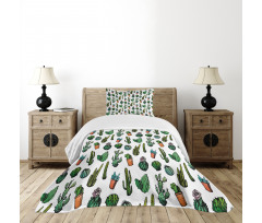 Spiked Cacti Pots Art Bedspread Set