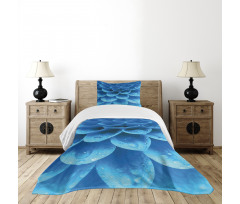 Gerbera Abstract Petals Bedspread Set