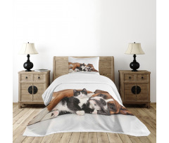 Cat Dog Friendship Bedspread Set