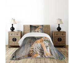 Bengal Tiger Cat Predator Bedspread Set