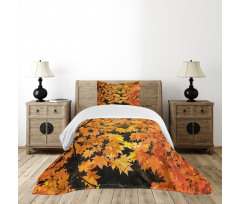 Vivid Autumn Maple Leaves Bedspread Set