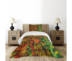 Colorful Leafage Vivid Bedspread Set