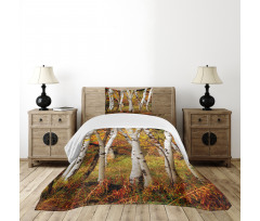 White Birch Trees Serenity Bedspread Set