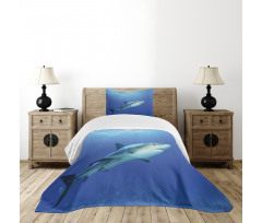 Exotic Dreamy Ocean Life Bedspread Set