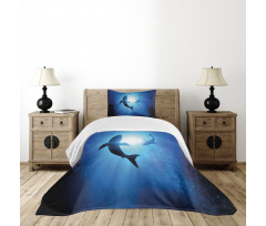Fishes Circling in Ocean Bedspread Set
