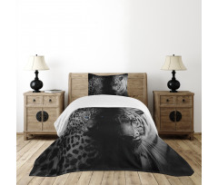 Wild Leopards Bedspread Set