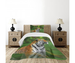 Siberian Wild Cat in Lake Bedspread Set