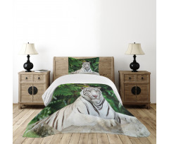 Albino Bengal Cat on Rock Bedspread Set