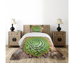 Aloe Polyphylla Vera Bedspread Set