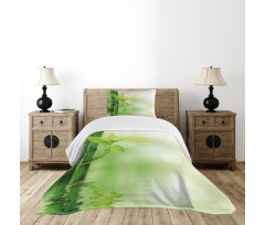 Bamboo out of Water Bedspread Set