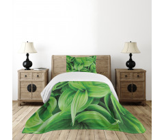 Tropic Foliage Pattern Bedspread Set