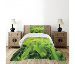 Lush Green Leaves Bedspread Set