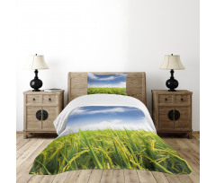 Paddy Rice Field Bedspread Set