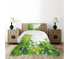 Birth of Nature Bedspread Set