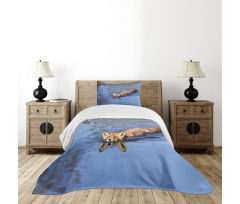 Fox Swimming in River Bedspread Set