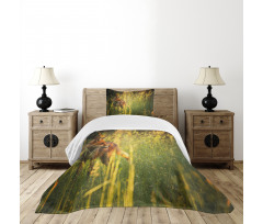 Vixen Mammal Summer Forest Bedspread Set