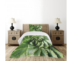 Green Leaf Exotic Mexico Bedspread Set