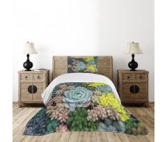 Miniature Plants Stones Bedspread Set