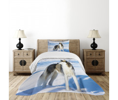 Husky on Snow Bedspread Set