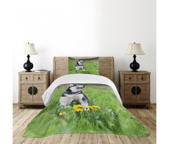 Puppy on Grass Bedspread Set