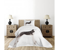 Arctic Animal Bedspread Set