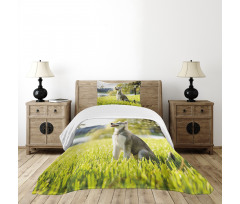 Friendly Bedspread Set