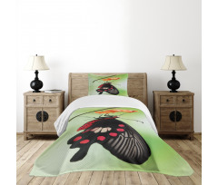 Open Cocoon Bedspread Set