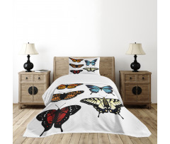 Monarch Lady Bedspread Set