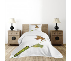 Life's Stages Bedspread Set