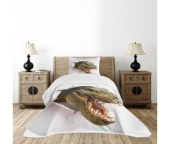 Dino Tears up Paper Bedspread Set