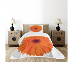 Vivid Flower of Gerbera Bedspread Set