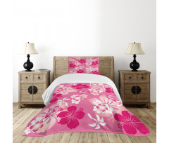 Pink Hibiscus Butterflies Bedspread Set