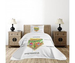 Leaf Names Theme Bedspread Set