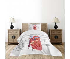 Human Body Organ Bedspread Set