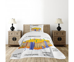 Membrane Cell Types Bedspread Set