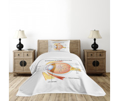 Eye Cornea Pupils Bedspread Set