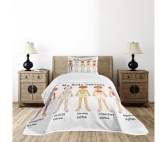 Human Nerve System Bedspread Set