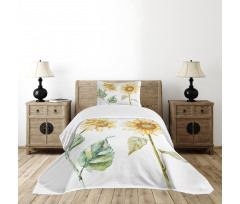 Alluring Sunflowers Bedspread Set