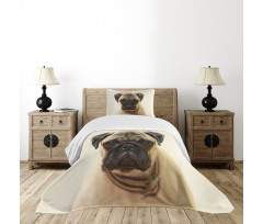 Pure Bred Dog Photograph Bedspread Set