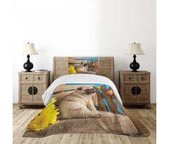 Puppy Photography on Bench Bedspread Set