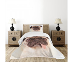 Upset Dog Sad Eyed Pet Bedspread Set