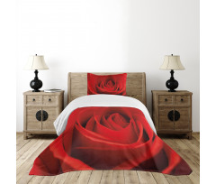 Natural Beauty Red Blossom Bedspread Set