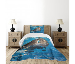 Aqua Show Photography Bedspread Set