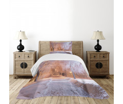 Night Scene Frozen Trees Bedspread Set