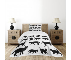 Black Kittens Pets Paws Bedspread Set
