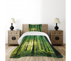 Green Woodland Sunrise Bedspread Set